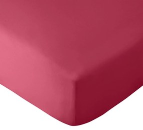 Lenzuolo elasticizzato rosa scuro 135x190 cm So Soft Easy Iron - Catherine Lansfield