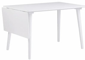 Tavolo da pranzo bianco Lotte Leaf, 120 x 80 cm Lotta - Rowico