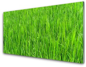 Pannello paraschizzi cucina Tappeto erboso dell'erba verde della natura 100x50 cm