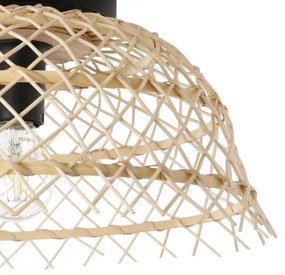 Eglo 43831 - Plafoniera AUSNBY 1xE27/40W/230V