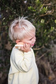 Zoo Walkie-talkie per bambini - volpe - volpe