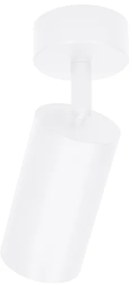 Brilagi - Faretto SELE 1xGU10/30W/230V bianco