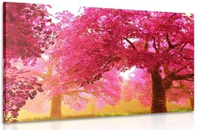 Quadro su tela – Magici alberi di ciliegio in fiore