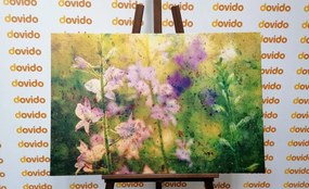 Quadro su tela – Disegno acquerellato di piante di montagna