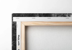 Quadro su tela – Paesaggio montano in bianco e nero