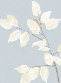 Lewis & Wood Carta da parati Beech - Cirrus