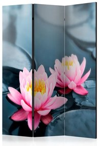 Paravento Lotus blossoms [Room Dividers]
