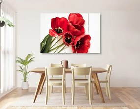 Quadro su tela – Tulipani rossi fioriti