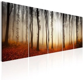 Quadro Morning Fog  Colore Marrone, Dimensioni e Misure 200x80