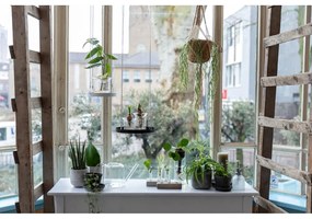 Vaso da fiori in vetro trasparente, 1,5 l - Esschert Design