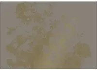 KEK Amsterdam Wandbild Engraved Flowers Gold 7 - XL