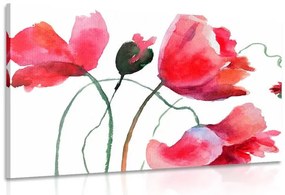 Stampa su tela – Fiori di papavero unici
