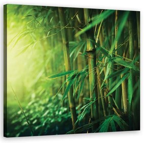 Quadro su tela, Bamboo nella giungla
