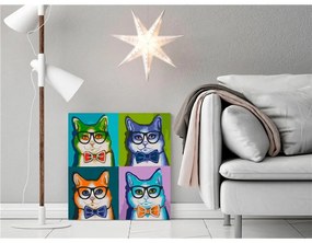 Quadro fai da te  Gatti con gli occhiali  Colore colorful, Dimensioni e Misure 40x40