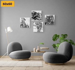 Set di quadri – Animali in versione acquerello in bianco e nero