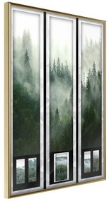 Poster  Eternal Forest – Triptych  Cornice Quadri Cornice d'oro, Larghezza x Altezza Home decor 30x45