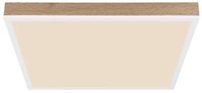 Globo 416080WWD2-CCT - Plafoniera LED dimmerabile DORO LED/24W/230V 2700-6500K + +TC