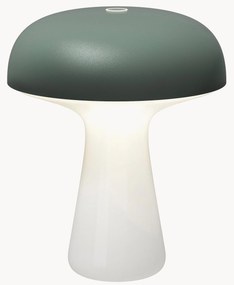 Lampada outdoor piccola portatile a LED con luce regolabile My