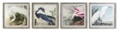 Quadro DKD Home Decor 60 x 2,5 x 60 cm Uccello Orientale (4 Pezzi)