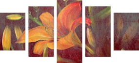Quadri 5 pezzi – Fioritura del giglio arancione