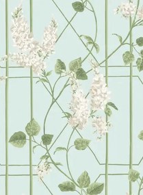 Tapete Wisteria von Cole and Son - Stone/ Olive