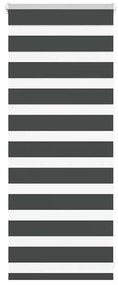 Tenda A Rullo Zebra Nero Larghezza Tessuto 55,9 Cm Poliestere /