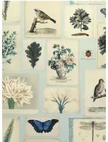 John Derian Carta da parati Flora and Fauna - Cloud Blue