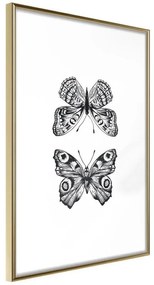 Poster  Butterfly Collection I  Cornice Quadri Cornice d'oro, Larghezza x Altezza Home decor 20x30