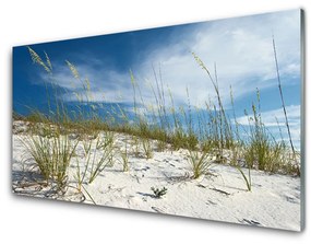 Quadro vetro Paesaggio della spiaggia 100x50 cm