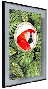 Poster  Parrot Says Hi  Cornice Quadri Cornice nera, Larghezza x Altezza Home decor 20x30