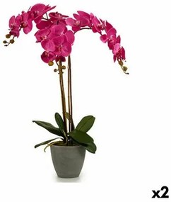 Pianta Decorativa Orchidea Plastica 60 x 78 x 44 cm (2 Unità)
