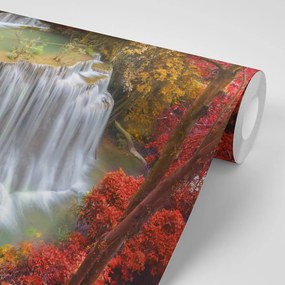Fotomurale – Cascata nella foresta