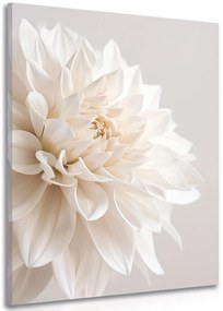 Stampa su tela – Petali bianchi
