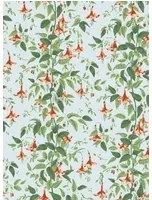 Cole & Son Carta da parati Fuchsia - Coral and Leaf Green on Powder Blue