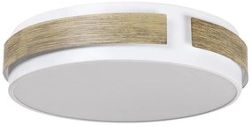 Rabalux 5646 - Plafoniera LED dimmerabile SALMA LED/24W/230V