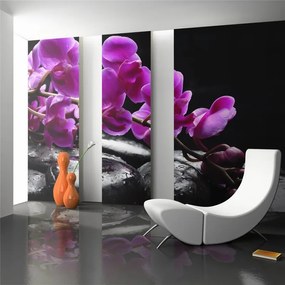 Fotomurale Momento di relax : un'orchidea e pietre zen