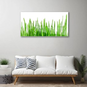 Quadro acrilico Erba, piante, natura 100x50 cm