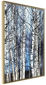 Poster  Winter Birch Trees  Cornice Quadri Cornice d'oro, Larghezza x Altezza Home decor 40x60