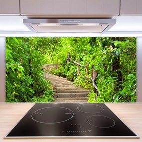 Pannello paraschizzi cucina Scale della natura 100x50 cm