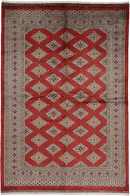 Bokhara Tappeto 250 x 170 (Pakistan) Annodato A Mano