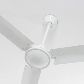 Globo 310 - Ventilatore da soffitto FERRO