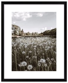 Poster 40x50 cm Meadow - knor