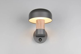 Illuminazione esterna con sensore di movimento da parete (altezza totale 24,5 cm) Fraser – Trio