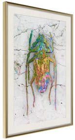 Poster  Iridescent Insect  Cornice Quadri Cornice d'oro con passe-partout, Larghezza x Altezza Home decor 20x30