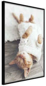 Poster  Kitten Life  Cornice Quadri Cornice nera, Larghezza x Altezza Home decor 40x60