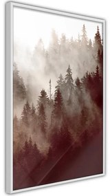 Poster Forest Fog