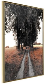 Poster  Field Path  Cornice Quadri Cornice d'oro, Larghezza x Altezza Home decor 40x60