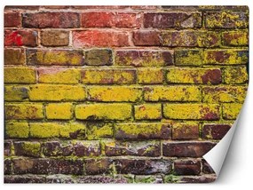 Carta Da Parati, Vecchio muro di mattoni colorati