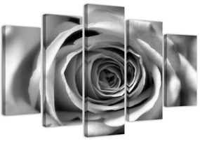 Quadro su tela 5 pannelli Fiori di rosa in bianco e nero