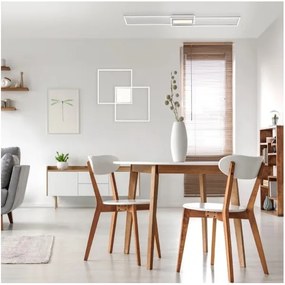 Leuchten Direkt 14711-55-LED Plafoniera dimmerabile ASMIN LED/42W/230V + TC